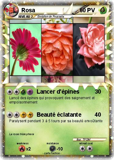 Pokemon Rosa
