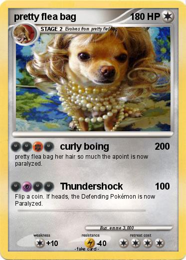 Pokemon pretty flea bag