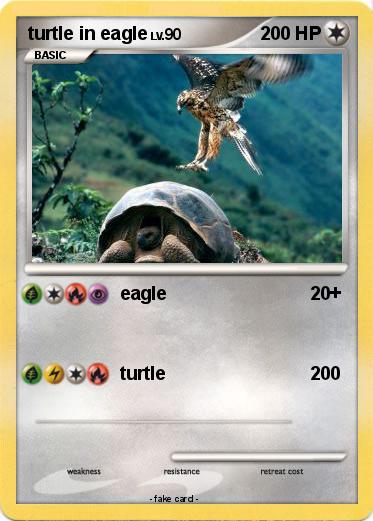Pokemon turtle in eagle