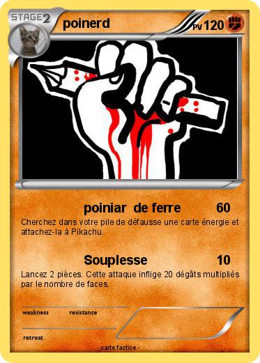Pokemon poinerd