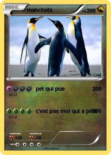 Pokemon manchots