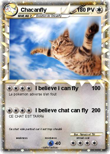 Pokemon Chacanfly