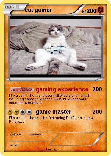 Pokemon cat gamer