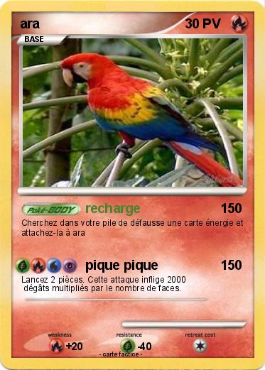 Pokemon ara