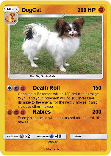 Pokemon DogCat