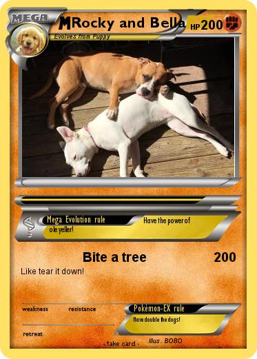 Pokemon Rocky and Bella