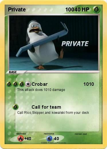 Pokemon Private                           100