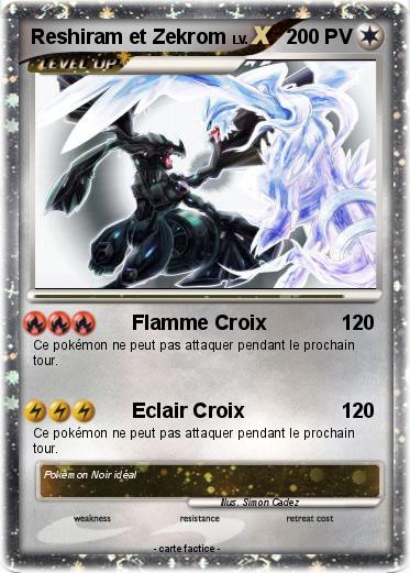Pokemon Reshiram et Zekrom
