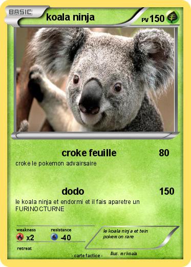 Pokemon koala ninja