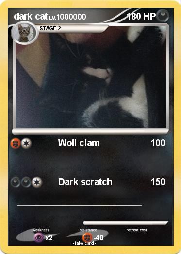 Pokemon dark cat