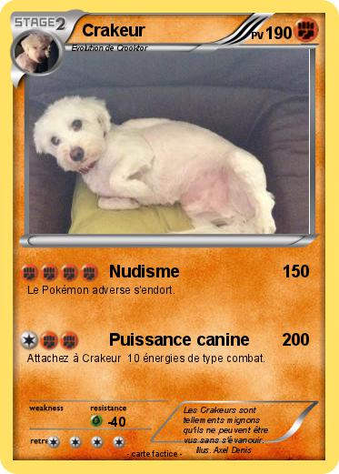 Pokemon Crakeur