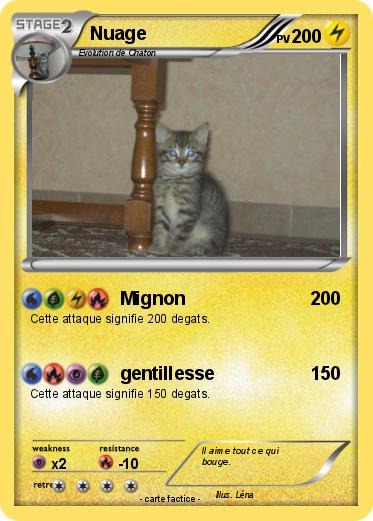 Pokemon Nuage
