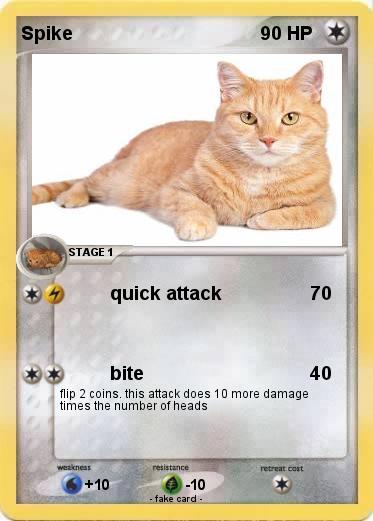 Pokemon Spike