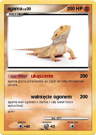 Pokemon agama