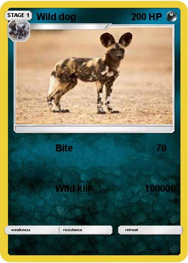 Pokemon Wild dog