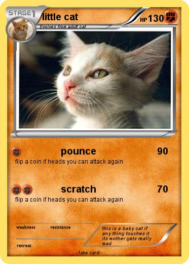 Pokemon little cat