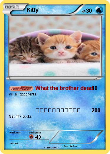 Pokemon Kitty