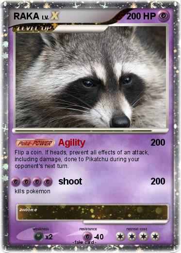 Pokemon RAKA