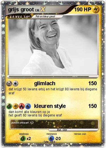 Pokemon grijs groot