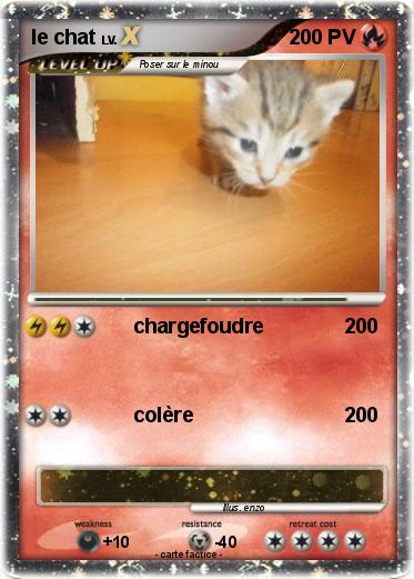 Pokemon le chat
