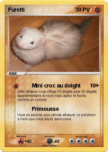 Pokemon Furetti