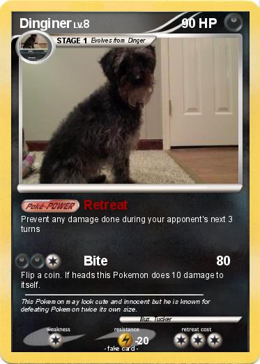 Pokemon Dinginer