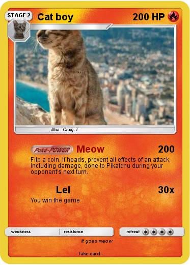 Pokemon Cat boy