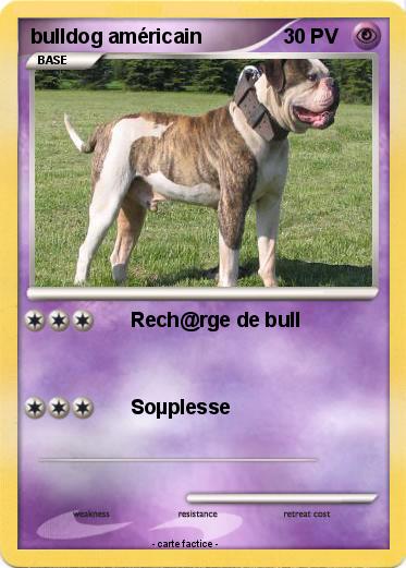 Pokemon bulldog américain