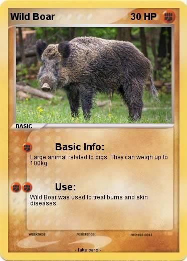 Pokemon Wild Boar