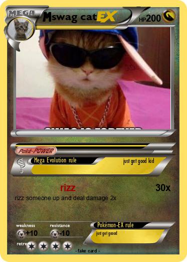 Pokemon swag cat