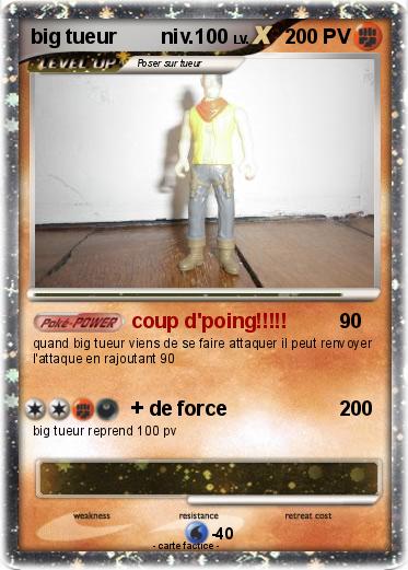 Pokemon big tueur        niv.100