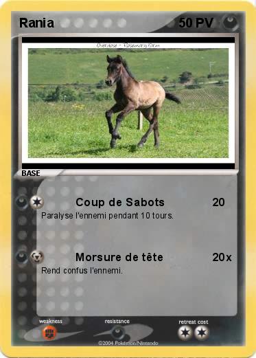 Pokemon Rania