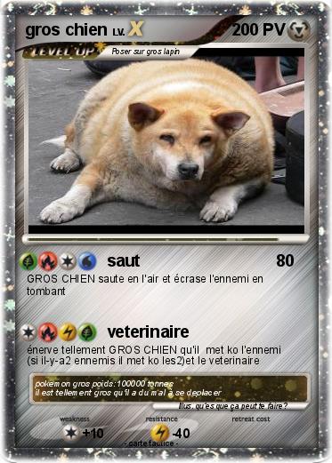 Pokemon gros chien