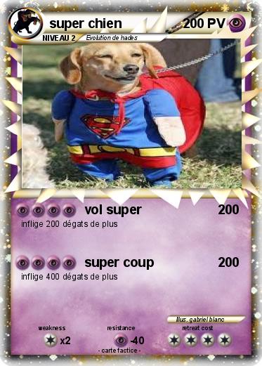 Pokemon super chien