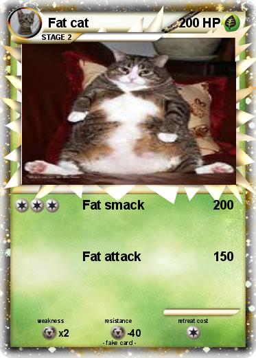 Pokemon Fat cat