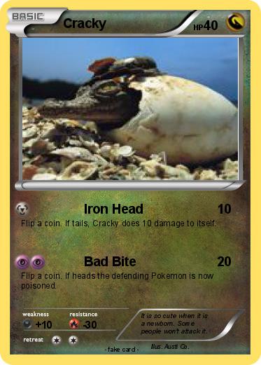 Pokemon Cracky
