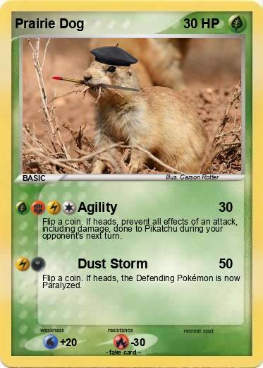 Pokemon Prairie Dog