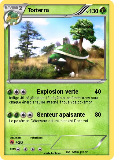 Pokemon Torterra