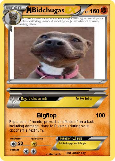 Pokemon Bidchugas