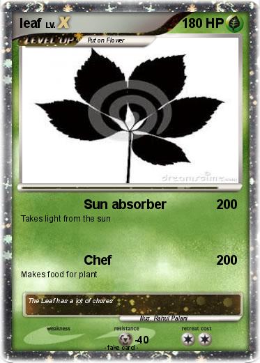 Pokemon leaf