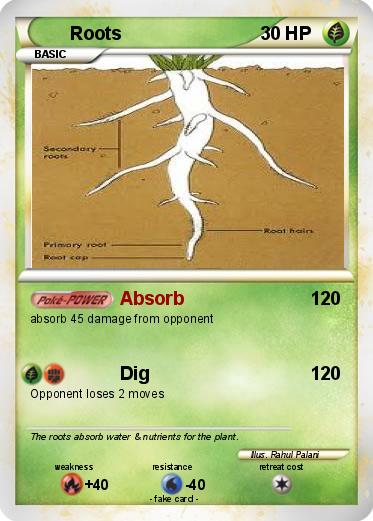 Pokemon Roots
