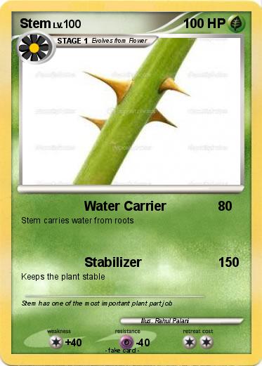 Pokemon Stem