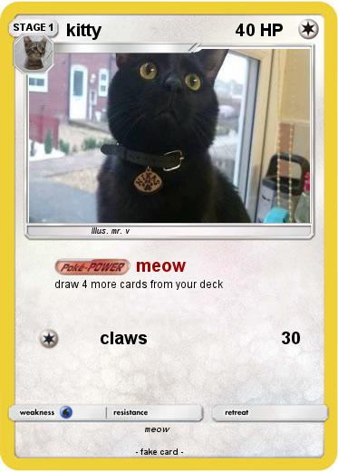 Pokemon kitty