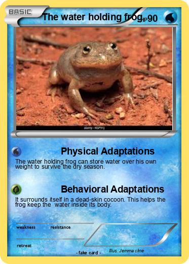 Pokemon The water holding frog