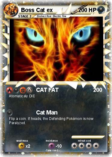 Pokemon Boss Cat ex
