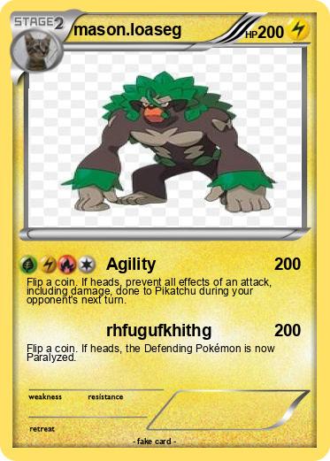 Pokemon mason.loaseg