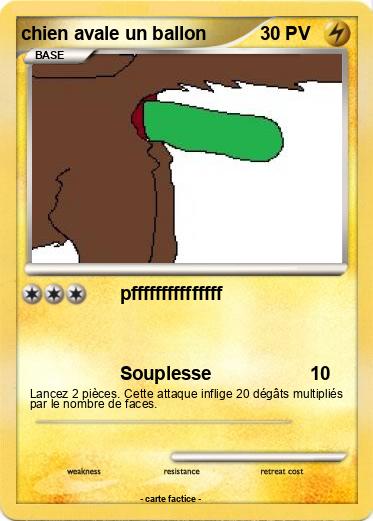 Pokemon chien avale un ballon