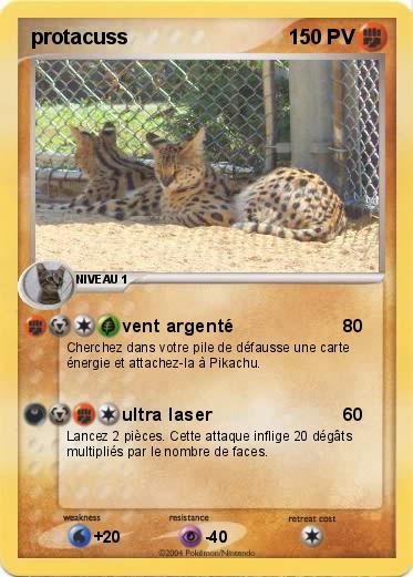 Pokemon protacuss