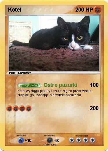 Pokemon Koteł