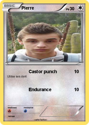 Pokemon Pierre